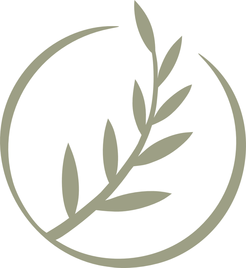 Private Space Aesthetics and Wellness Logogram Colored Transparent Logo